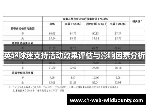 英超球迷支持活动效果评估与影响因素分析